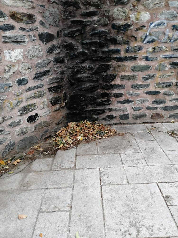 Bursa'da Saadet Partisi 'Sultan Külliyeleri'ne dikkati çekti