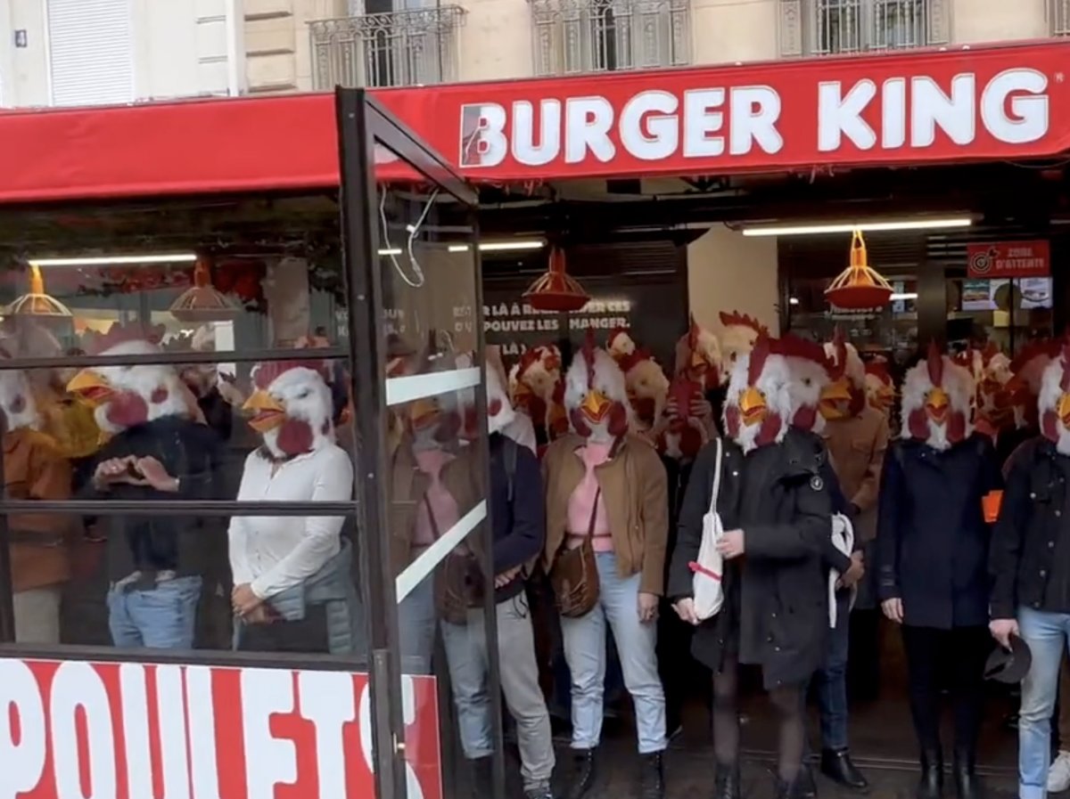Fransa'da aktivistler tavuk maskeleriyle fast food restoranını bastı