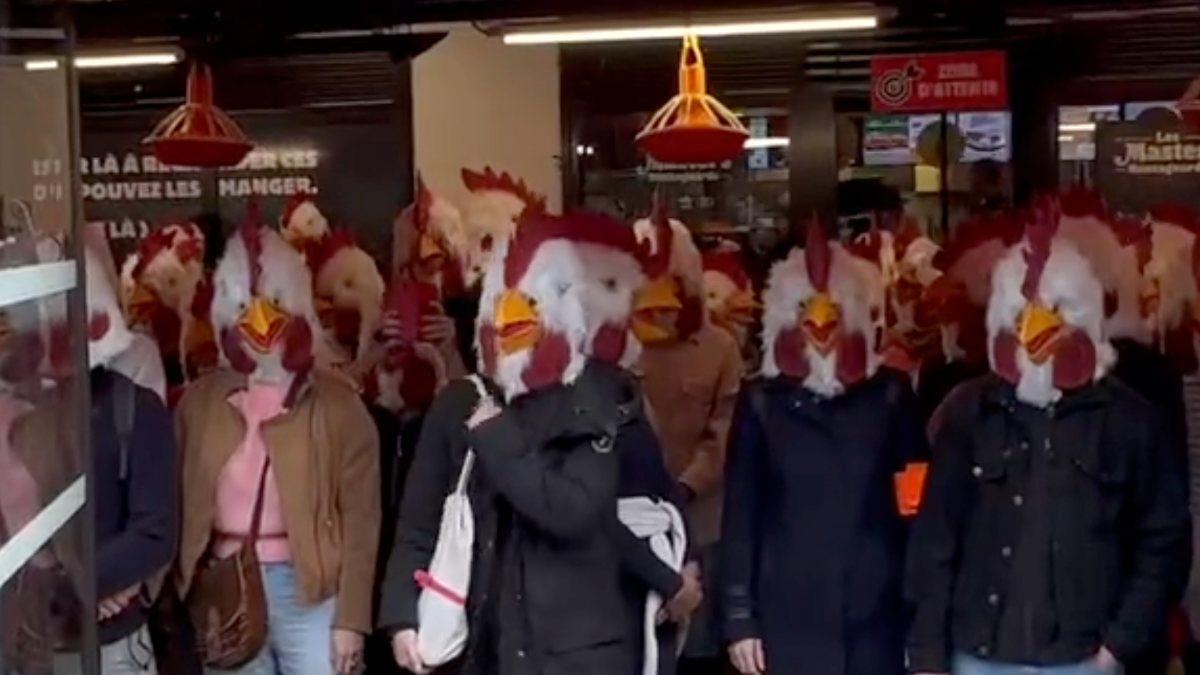 Fransa&#039;da aktivistler tavuk maskeleriyle fast food restoranını bastı