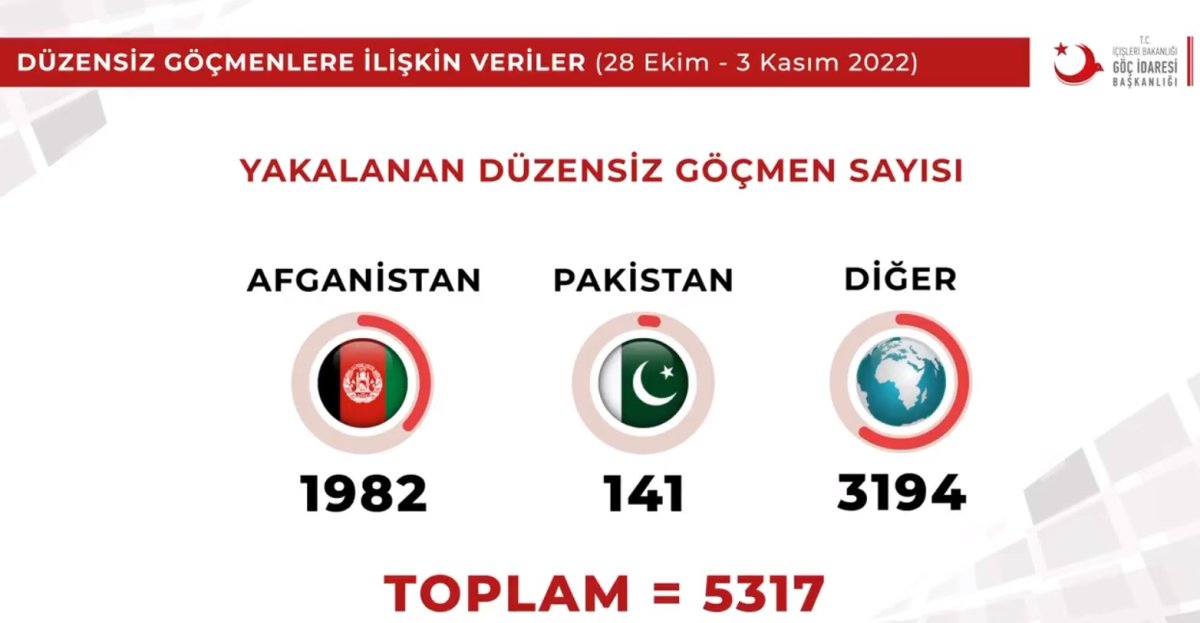 Sınır dışı edilen düzensiz göçmen sayısı açıklandı