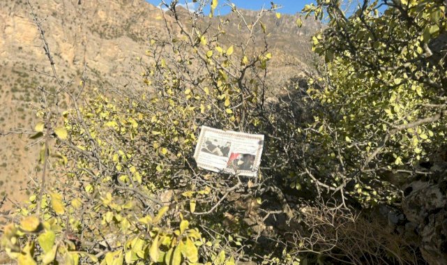 Hakkari'de dağlara PKK'lı teröristlere 'teslim ol' bildirisi dağıtıldı