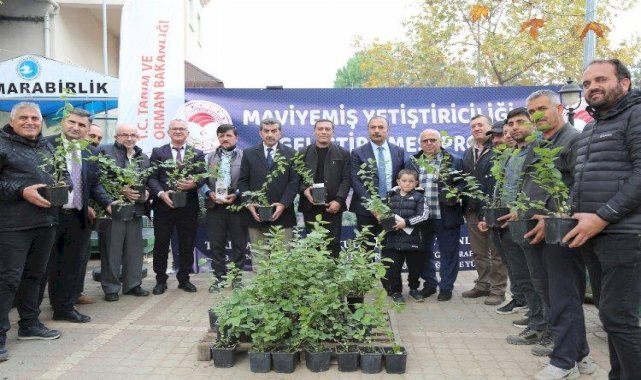 'Yeşil Bursa' maviyemişte de iddialı