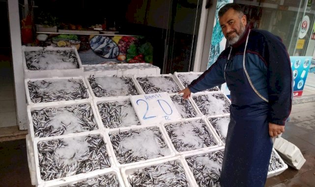 Yozgat'ta hamsinin kilosu 20 TL'ye düştü