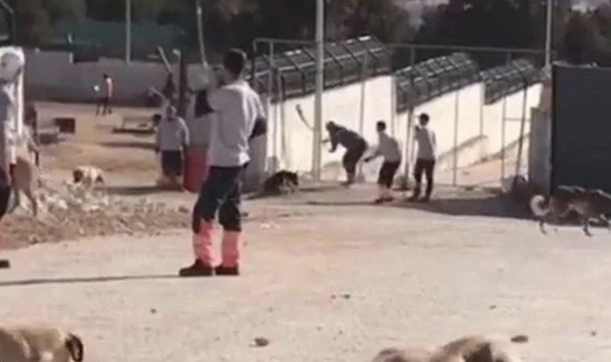 Tarım ve Orman Bakanlığı: Konya'da detaylı inceleme başlatılmıştır