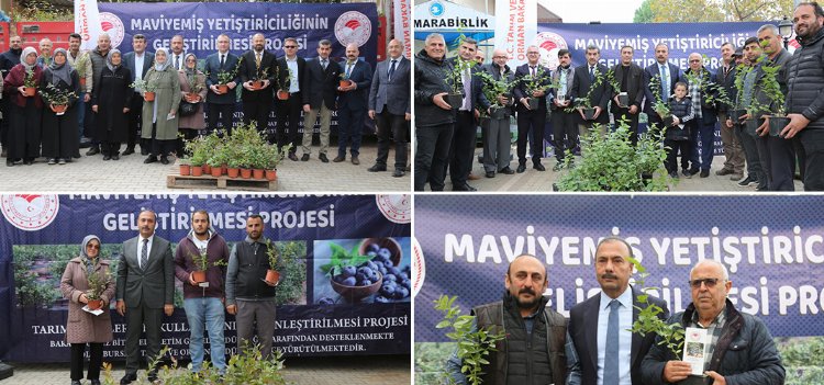 'Yeşil Bursa' maviyemişte de iddialı