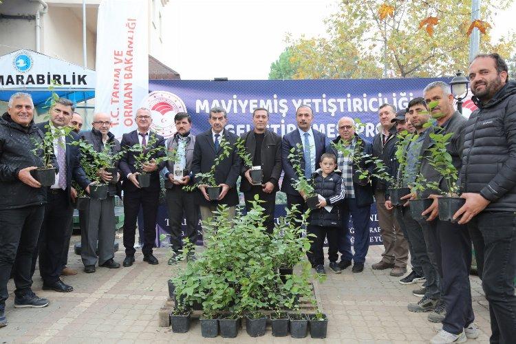 &#039;Yeşil Bursa&#039; maviyemişte de iddialı