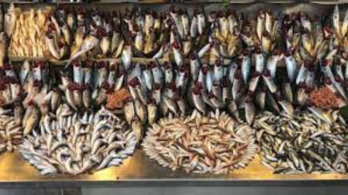 Aralık ayında hangi balıklar yenir?