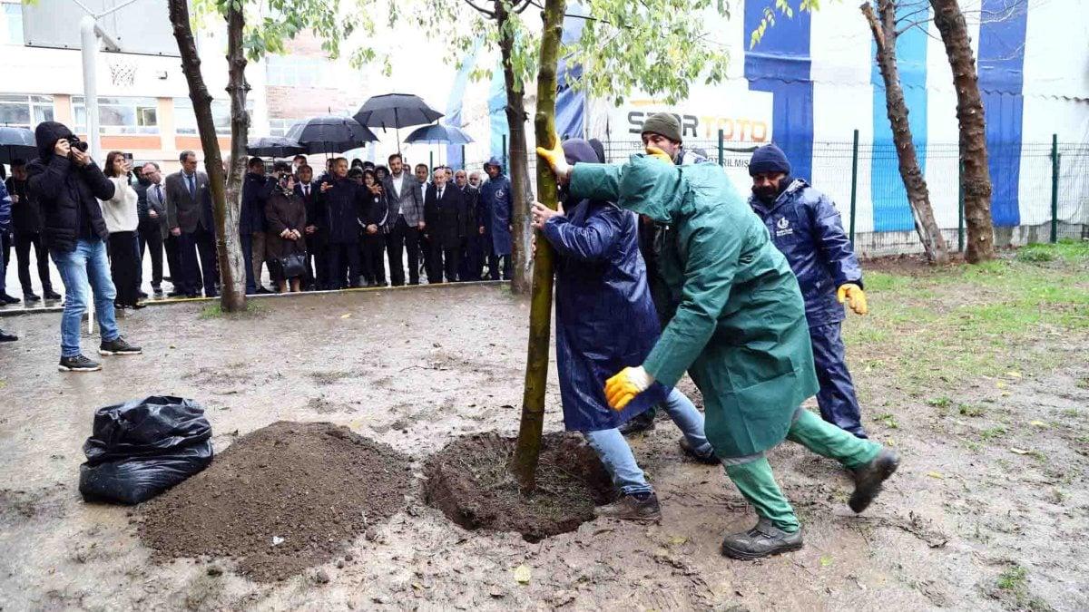 Beyoğlu'ndaki saldırıda hayatını kaybeden Yağmur için fidan dikildi