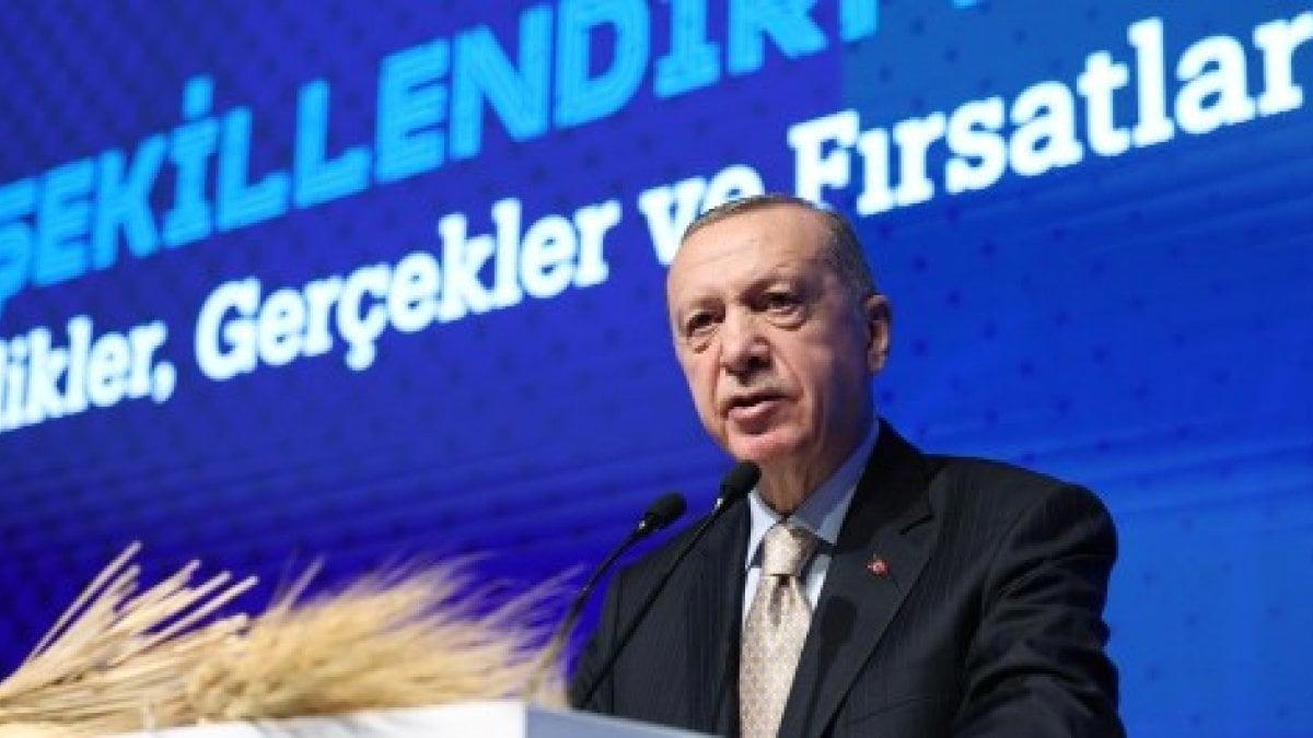 Cumhurbaşkanı Erdoğan: Putin ve Zelensky ile görüşeceğim