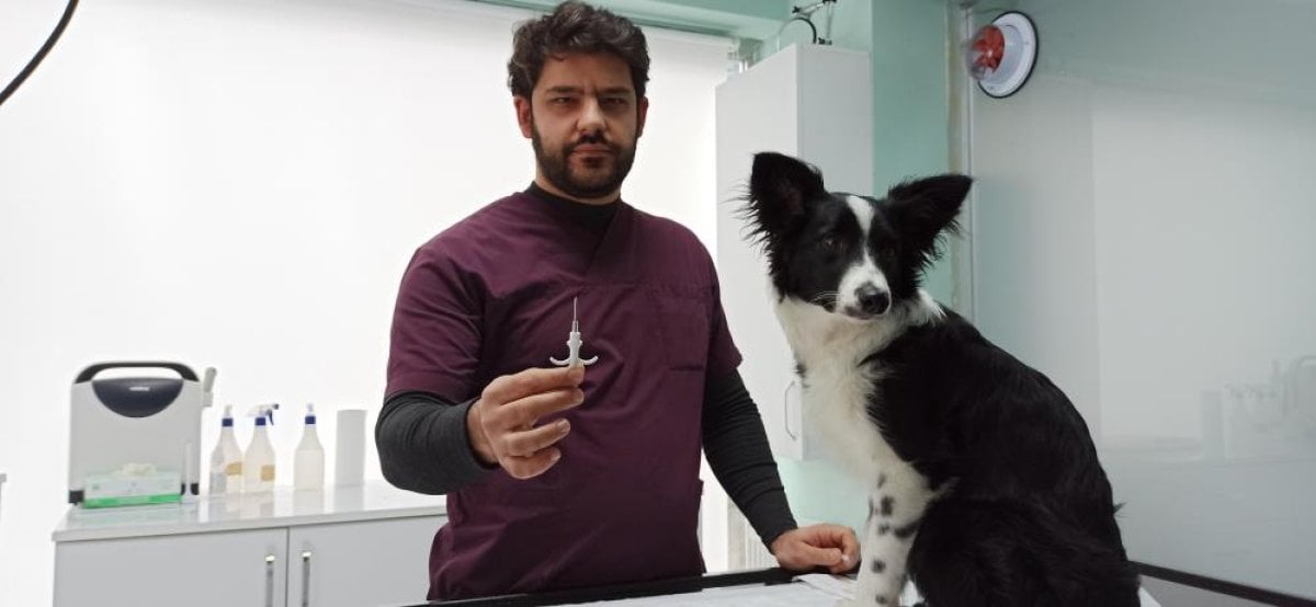 Evcil hayvan çipleme işleminde beyanname kolaylığı