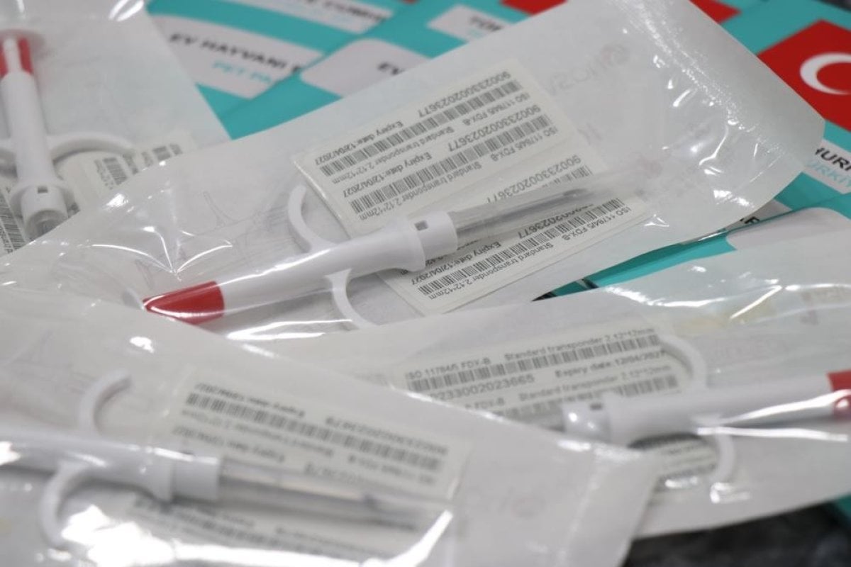 Evcil hayvan çipleme işleminde beyanname kolaylığı