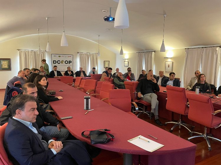 İspanyollardan Türk zeytin zeytinyağına yoğun ilgi