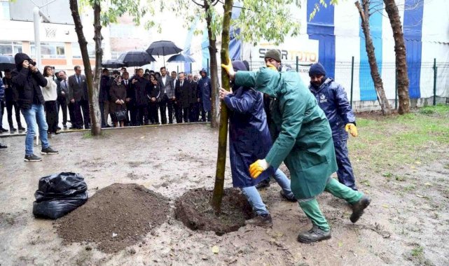 Beyoğlu'ndaki saldırıda hayatını kaybeden Yağmur için fidan dikildi