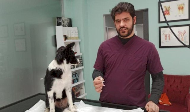 Evcil hayvan çipleme işleminde beyanname kolaylığı