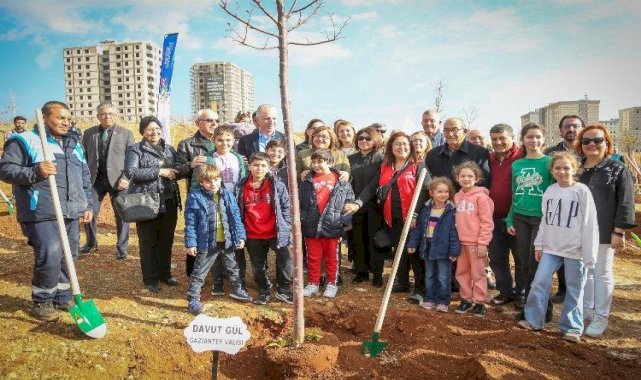 Gaziantep'te 5 bin metrekarelik alan ağaçlandırıldı