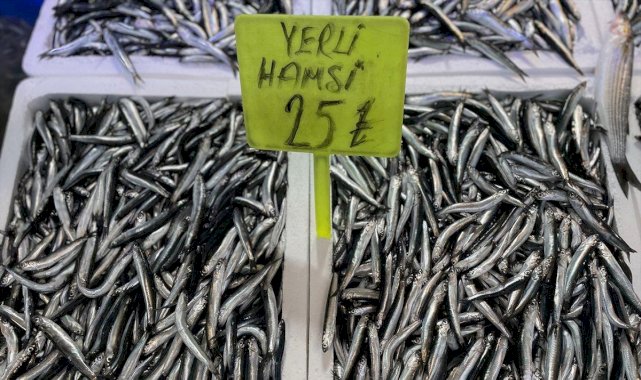 Trabzon'da avlanan yerli hamsi, 25 liradan tezgahlardaki yerini aldı
