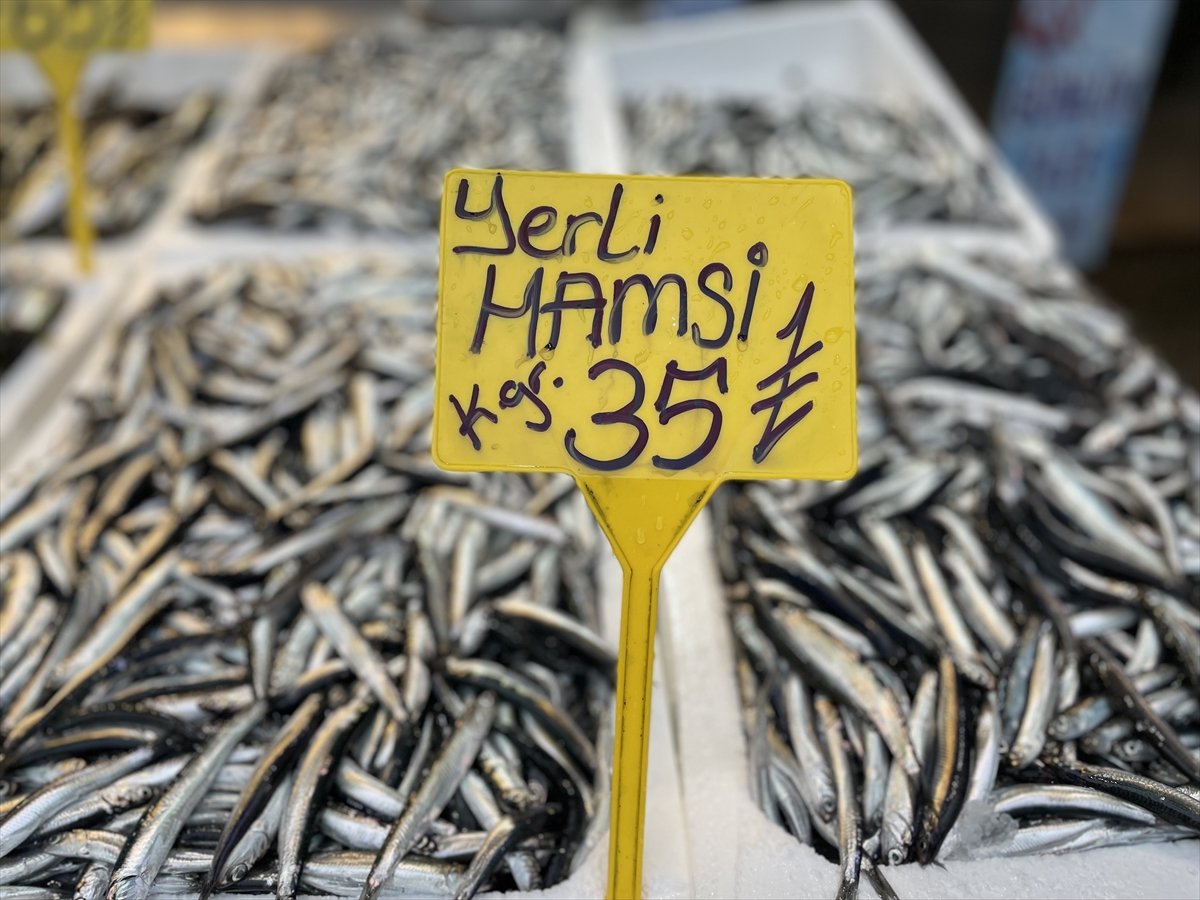 Trabzon'da avlanan yerli hamsi, 25 liradan tezgahlardaki yerini aldı