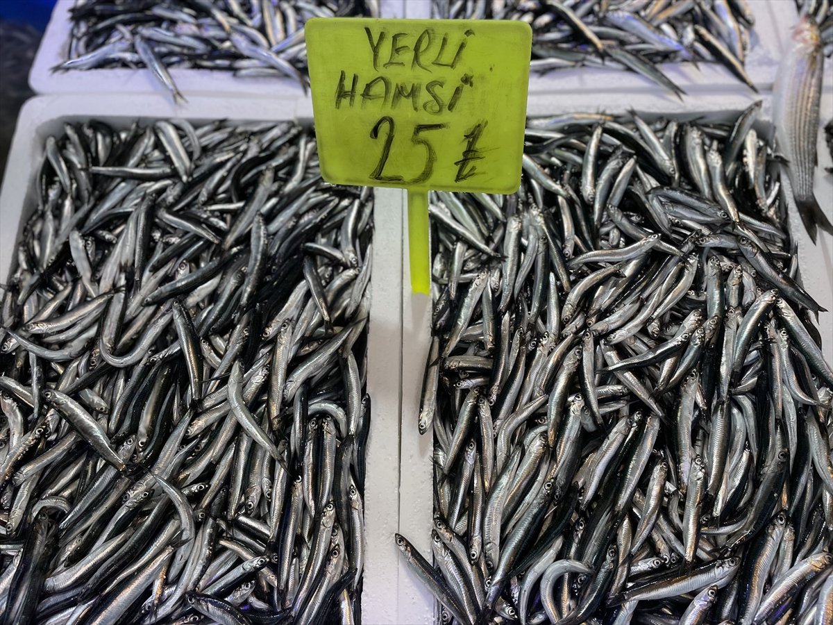 Trabzon'da avlanan yerli hamsi, 25 liradan tezgahlardaki yerini aldı