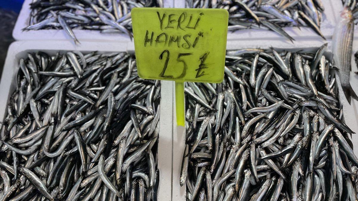 Trabzon&#039;da avlanan yerli hamsi, 25 liradan tezgahlardaki yerini aldı