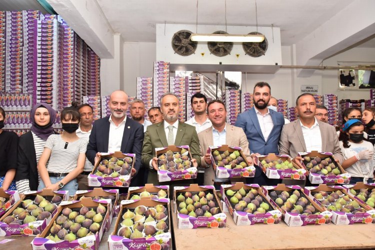 Bursa Büyükşehir tarlada üreticiye nefes oldu