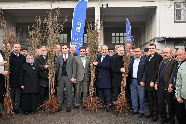 Bursa Büyükşehir tarlada üreticiye nefes oldu