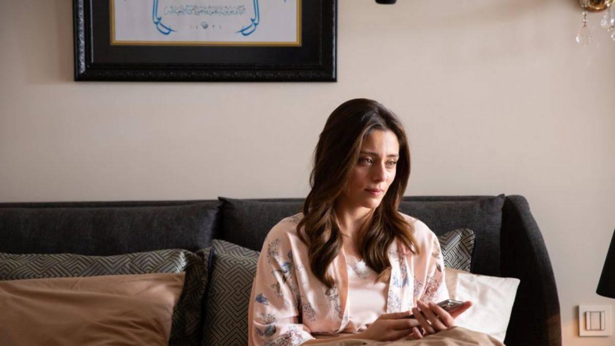 Kızılcık Şerbeti 11.bölüm izleme ekranı: Son bölüm