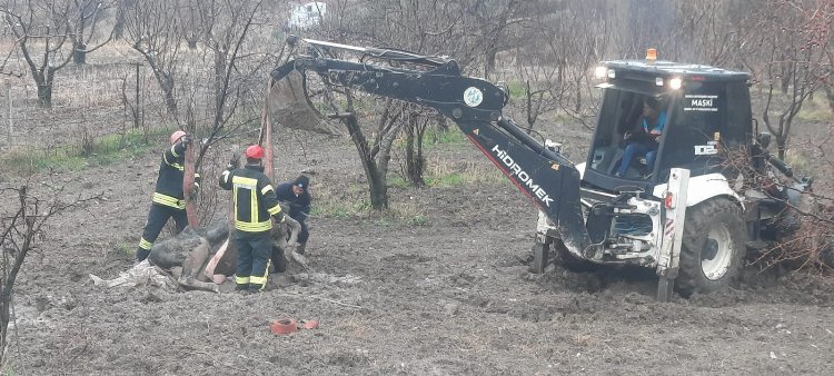 Manisa İtfaiyesi'nden hayat kurtaran müdahaleler