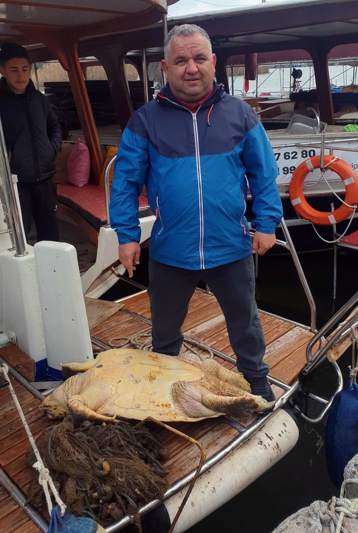 Muğla açıklarında ölü caretta caretta bulundu