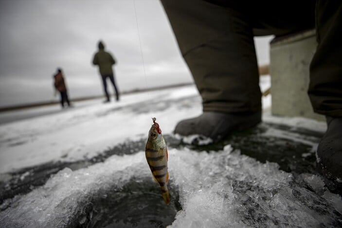 Ukraynalılar, savaşın stresini balık tutarak atmaya çalışıyor