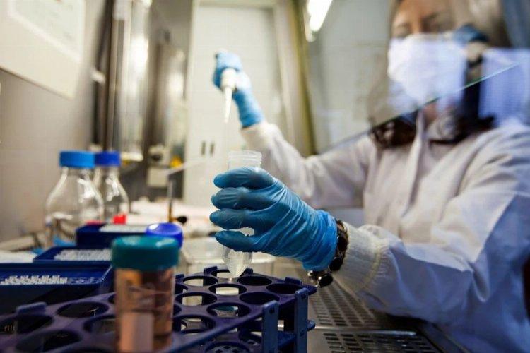 Yeni virüs tehdidi kapıda