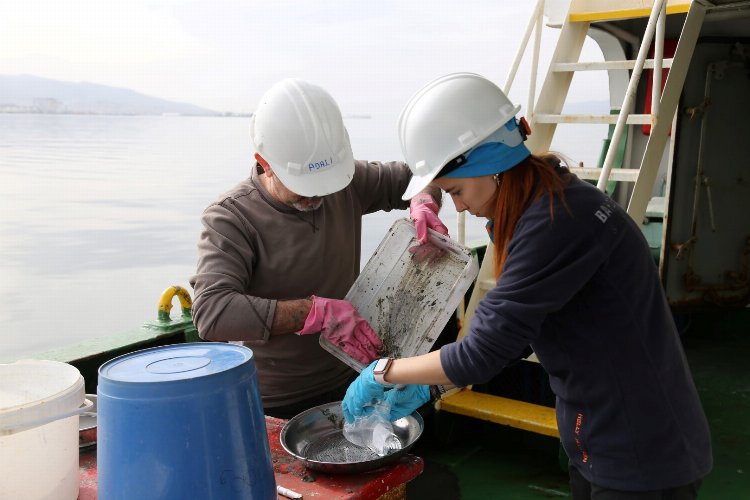 İzmit Körfezi’nde biyoçeşitliliği tespit edilecek