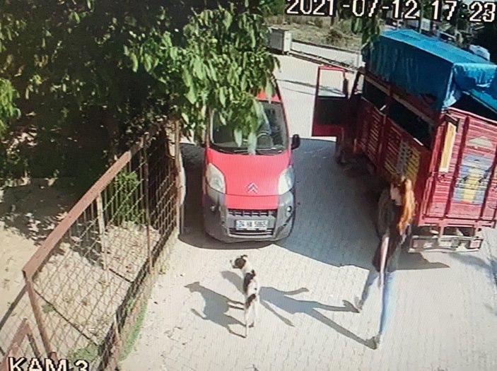 Kocaeli'nde 17 yaşındaki Ayşegül'ü öldüren Afgan'ın cezası