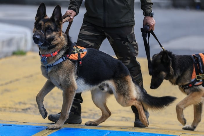 Kolombiya'dan Türkiye'ye 45 kişilik ekip desteği