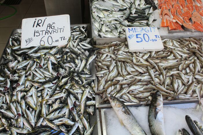 Av sezonunun son demleri! Tezgah mezgit ve istavrite kaldı