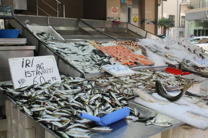 Av sezonunun son demleri! Tezgah mezgit ve istavrite kaldı
