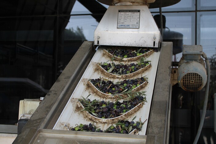 Aydın'da çalışacak işçi bulamıyor! Hamal ayda 24 bin lira kazanıyor