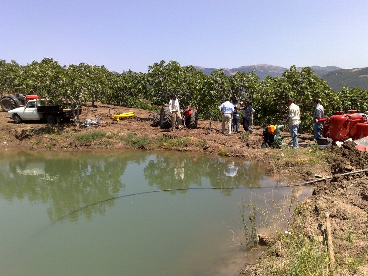 Bursa Yenişehir Ovası'nda kuraklık tehlikesi