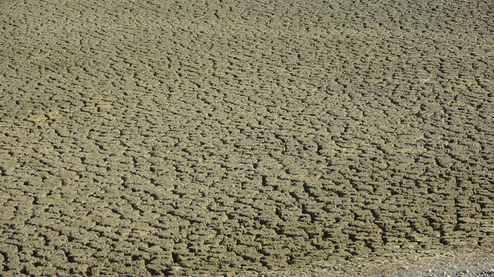 Çanakkale'de kuraklık etkileri! Kuşlar bölgeyi terk etti