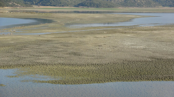 Çanakkale'de kuraklık etkileri! Kuşlar bölgeyi terk etti