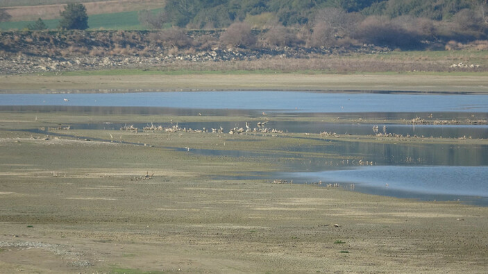 Çanakkale'de kuraklık etkileri! Kuşlar bölgeyi terk etti