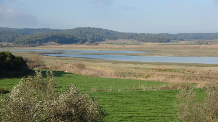 Çanakkale'de kuraklık etkileri! Kuşlar bölgeyi terk etti