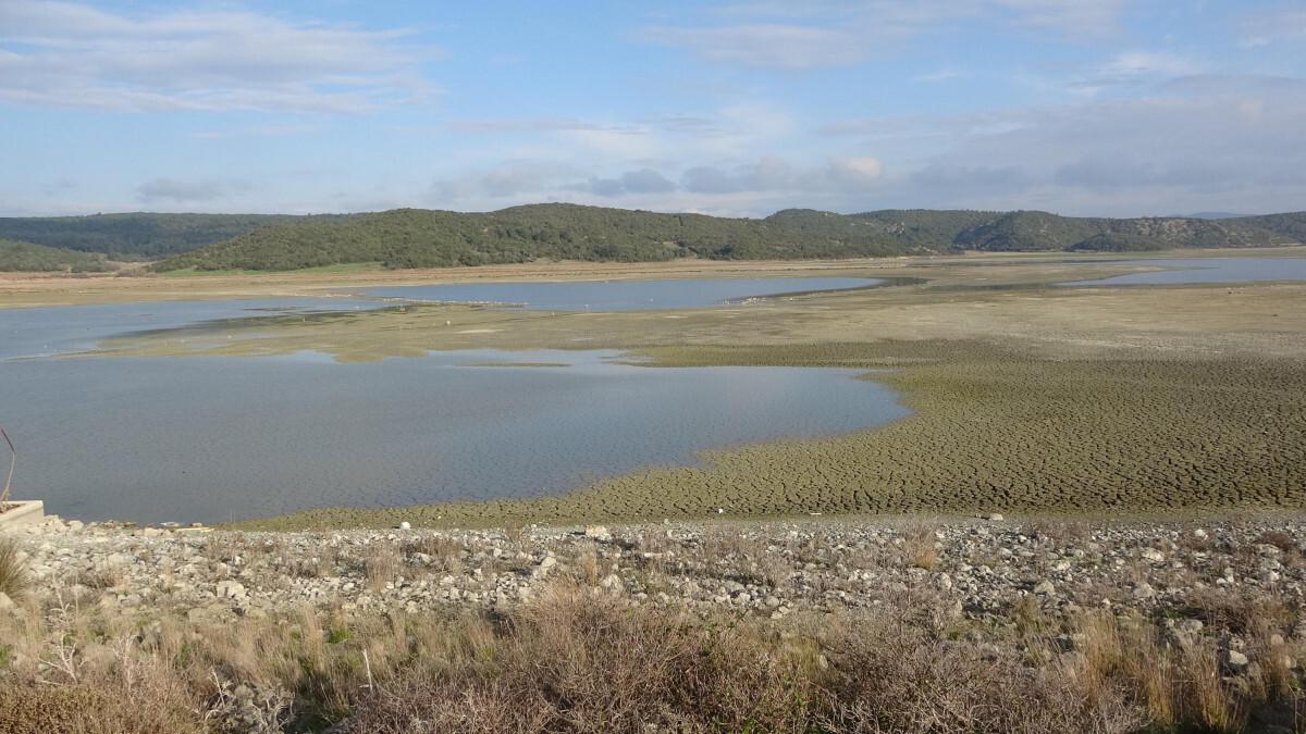 Çanakkale&#039;de kuraklık etkileri! Kuşlar bölgeyi terk etti
