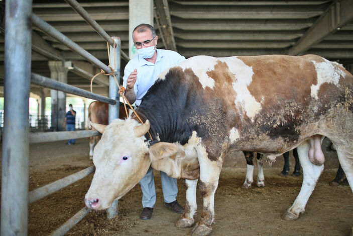 Diyarbakır ve Siirt'te hayvan borsası pazarları kapatıldı