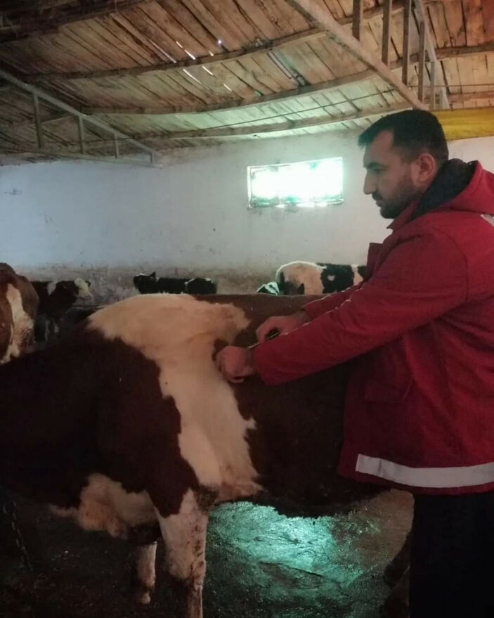 Diyarbakır ve Siirt'te hayvan borsası pazarları kapatıldı