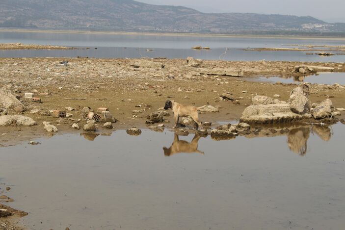 İzmir'de içme suyu tehlikesi... Bir baraj daha kuruyor