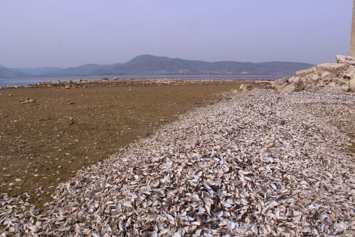 İzmir'de içme suyu tehlikesi... Bir baraj daha kuruyor