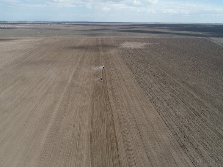 Konya'da atıl araziye aspir ekimi