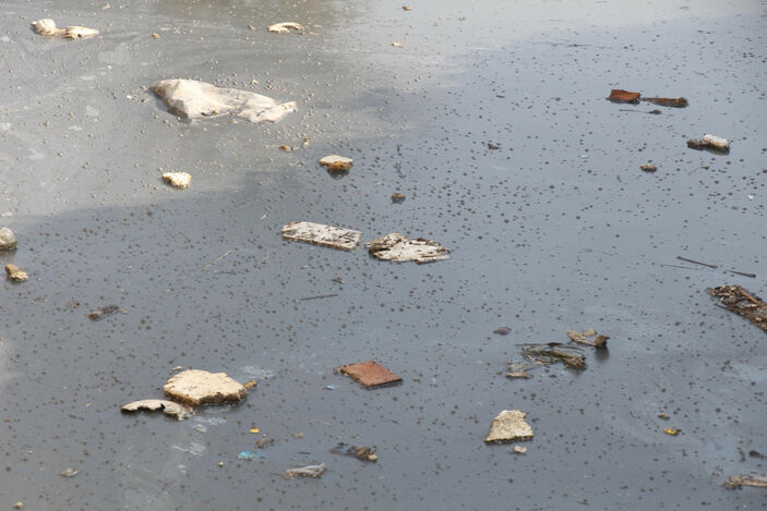 Kuraklığın İzmir'e etkisi... Körfez Mart ayında kokmaya başladı