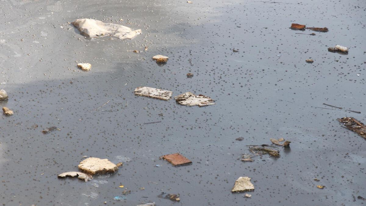 Kuraklığın İzmir'e etkisi... Körfez Mart ayında kokmaya başladı