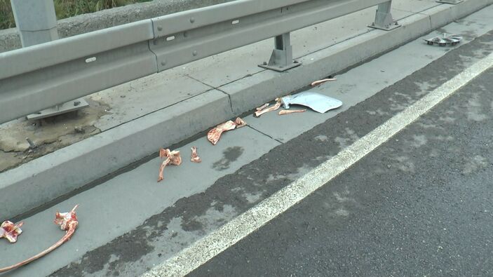 Maltepe'de kemik yüklü kamyonet kaygan zeminde yan yattı